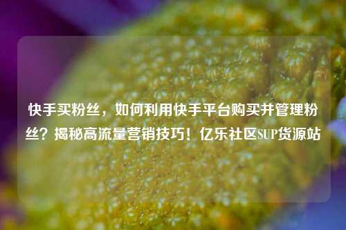 快手买粉丝，如何利用快手平台购买并管理粉丝？揭秘高流量营销技巧！亿乐社区SUP货源站  第1张