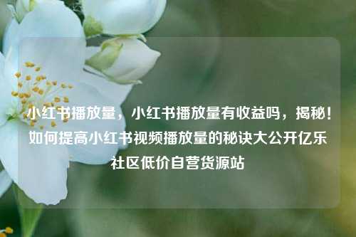 小红书播放量，小红书播放量有收益吗，揭秘！如何提高小红书视频播放量的秘诀大公开亿乐社区低价自营货源站  第1张