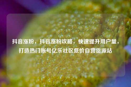 抖音涨粉，抖音涨粉攻略，快速提升用户量	，打造热门账号亿乐社区低价自营货源站  第1张
