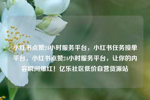 小红书点赞24小时服务平台，小红书任务接单平台，小红书点赞24小时服务平台，让你的内容瞬间爆红！亿乐社区低价自营货源站  第1张