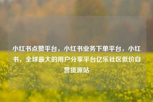 小红书点赞平台，小红书业务下单平台	，小红书，全球最大的用户分享平台亿乐社区低价自营货源站  第1张