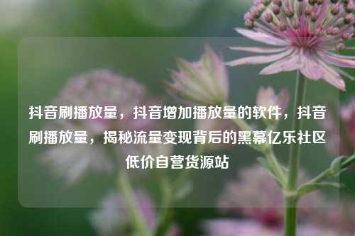 抖音刷播放量，抖音增加播放量的软件，抖音刷播放量	，揭秘流量变现背后的黑幕亿乐社区低价自营货源站  第1张