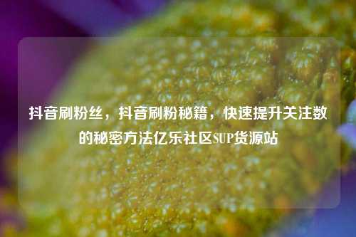 抖音刷粉丝，抖音刷粉秘籍，快速提升关注数的秘密方法亿乐社区SUP货源站  第1张