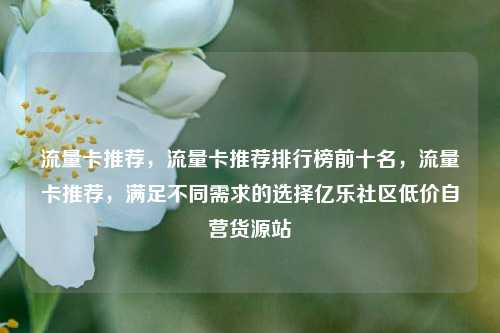 流量卡推荐，流量卡推荐排行榜前十名，流量卡推荐，满足不同需求的选择亿乐社区低价自营货源站  第1张