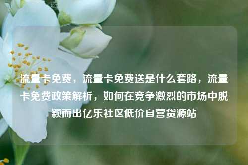 流量卡免费，流量卡免费送是什么套路，流量卡免费政策解析	，如何在竞争激烈的市场中脱颖而出亿乐社区低价自营货源站  第1张