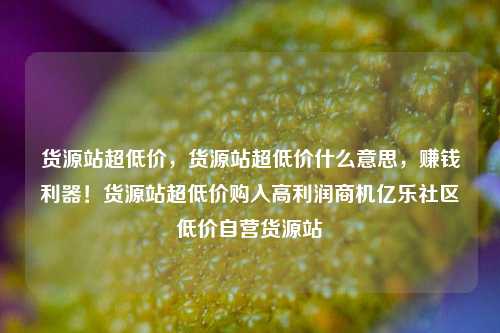 货源站超低价，货源站超低价什么意思，赚钱利器！货源站超低价购入高利润商机亿乐社区低价自营货源站  第1张