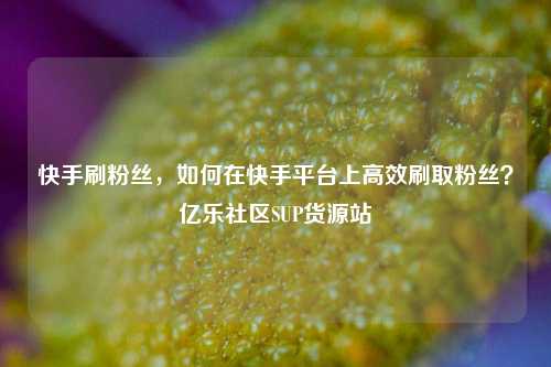 快手刷粉丝，如何在快手平台上高效刷取粉丝？亿乐社区SUP货源站  第1张